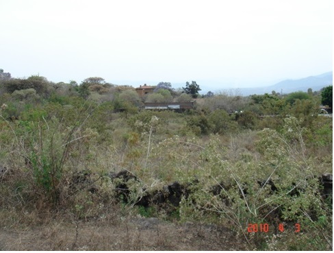 foto Terreno Tepoztlan 1