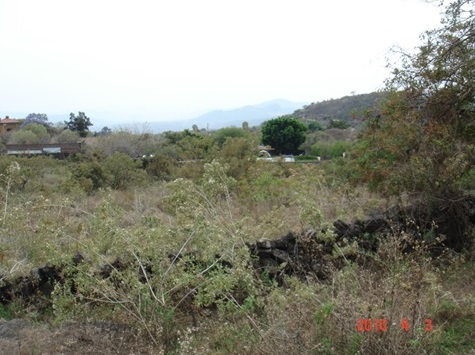 Venta de Terreno en Tepoztlán